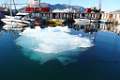 DSC08588-001