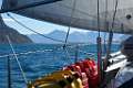 DSC08591-001